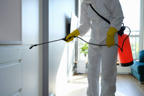 Best Residential Mold Remediation in Warrensburg, MO