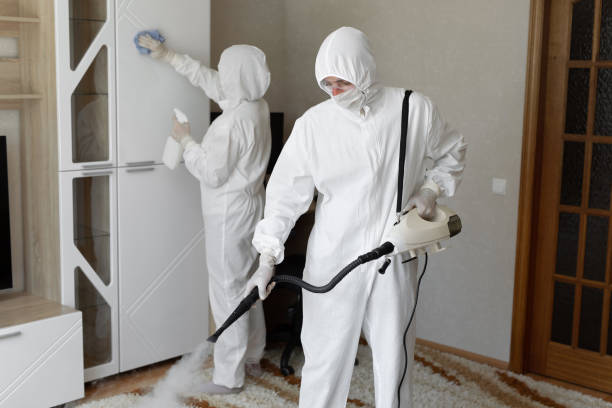 Best Post-Flood Mold Remediation in Warrensburg, MO